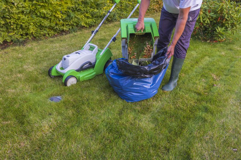 Healthy Lawn Maintenance
