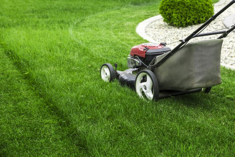 Home Lawn Maintenance