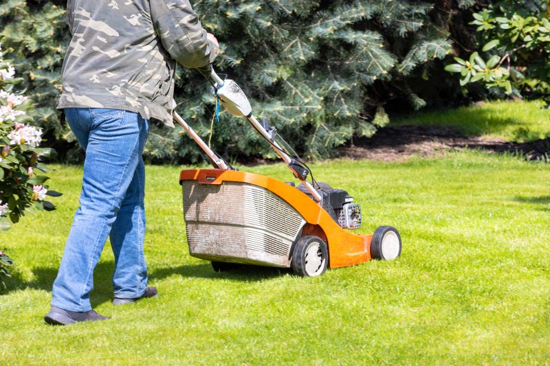 Spring Lawn Maintenance