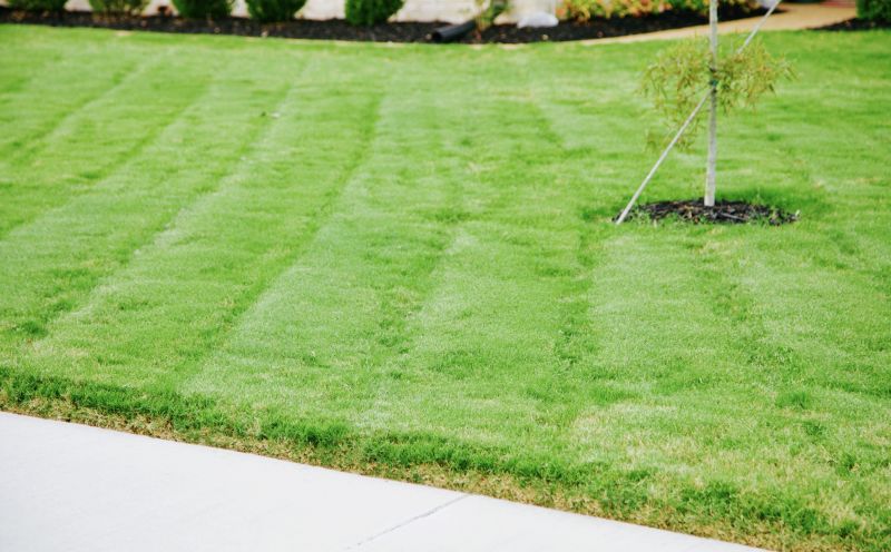 Spring Lawn Maintenance