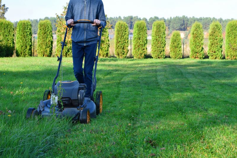Seasonal Lawn Maintenance Experts