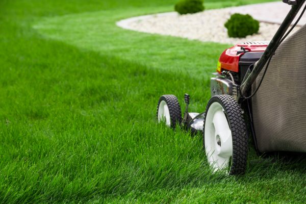 Mowing Service in Dothan