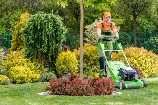 Weekly Lawn Maintenance in Dothan