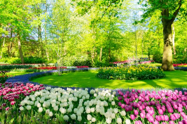 Spring Lawn Care in Dothan