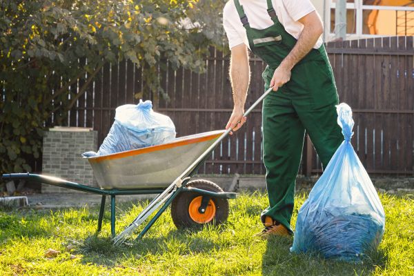 Yard Cleaning in Dothan