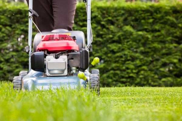 Grass Trimming Service in Dothan
