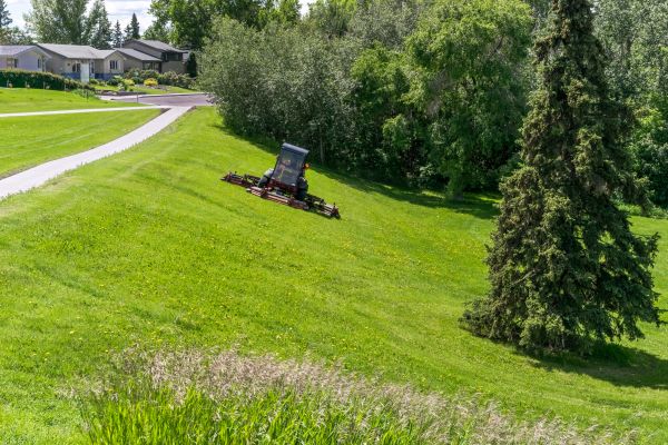 Hillside Mowing in Dothan