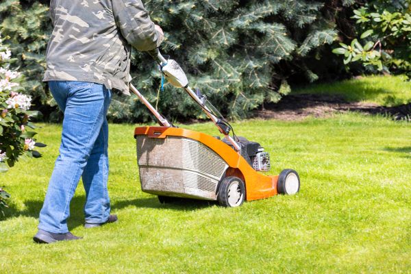 Springtime Lawn Care in Dothan