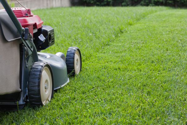 Spring Lawn Maintenance in Dothan