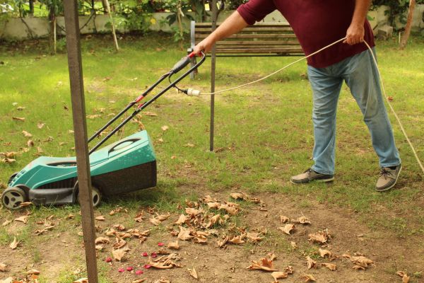 Leaves Mowing in Dothan